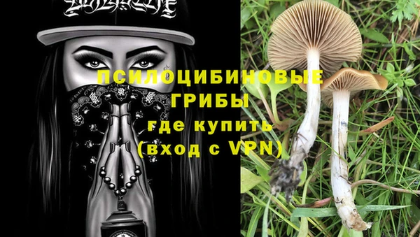 мет Белокуриха