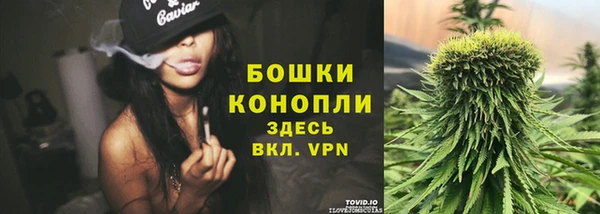 крисы Богородск