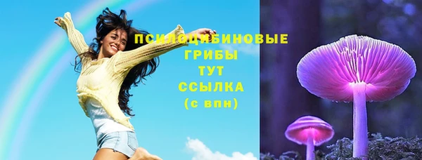 мет Белокуриха