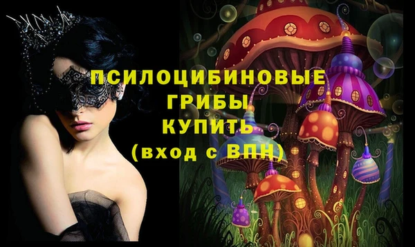 ПСИЛОЦИБИНОВЫЕ ГРИБЫ Белоозёрский