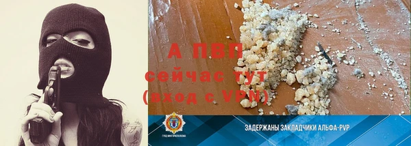 ПСИЛОЦИБИНОВЫЕ ГРИБЫ Белоозёрский