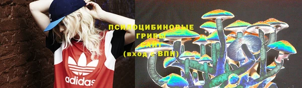 мет Белокуриха